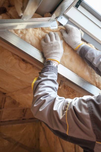 Best Garage Insulation  in Dalhart, TX